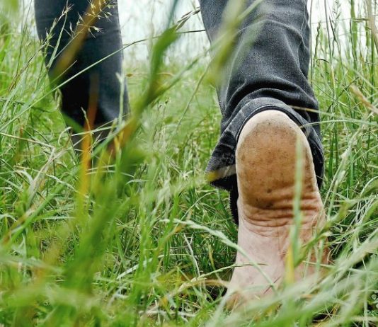 A mysterious Patient: the attack in the Grass