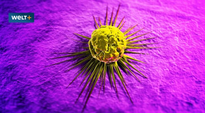 Cancer: new therapies