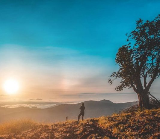 Cixin Waldorf Liu in the portrait: China, the new superpower of the Science-Fiction