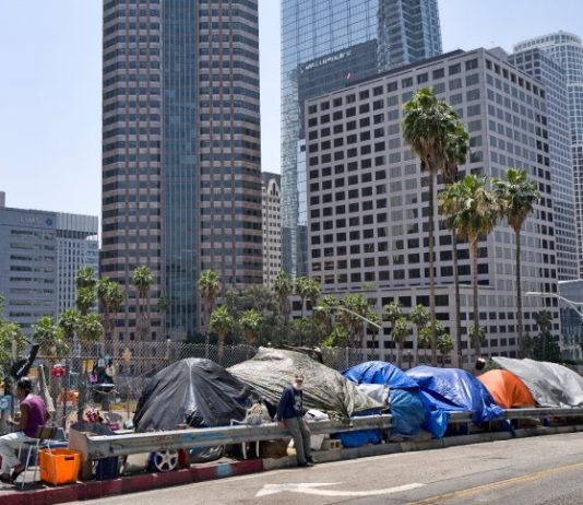 Infection via fleas: Los Angeles fights against typhoid fever outbreak among homeless people