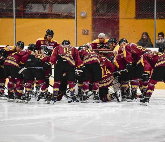 Lauterbach (Hesse): Fighting bobcats give clear leadership from the Hand