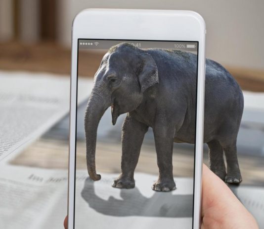 Species recover from the people in is no earlier than three million years ago