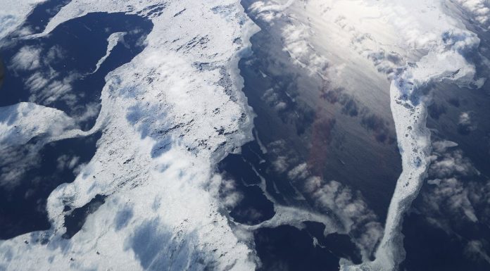 Antarctica: plans for largest marine protected area have failed