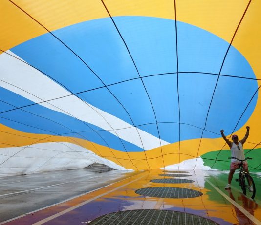 COP 25: Brazil withdraws candidacy for climate change conference