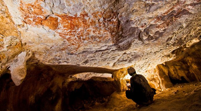 Cave painting: At the beginning of the critter was