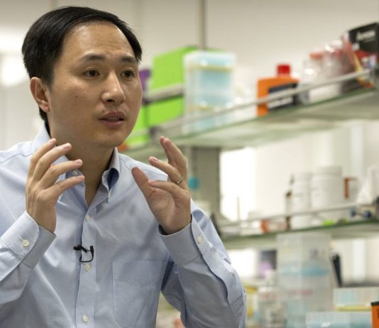 Crispr: China orders investigation because of the birth of genetically engineered babies