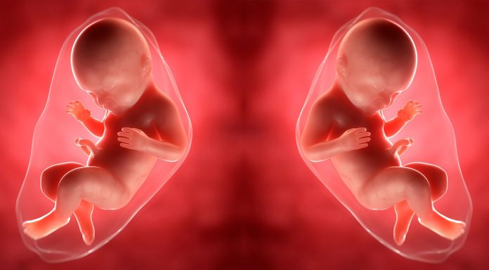 Crispr: The last taboo of genetic engineering?