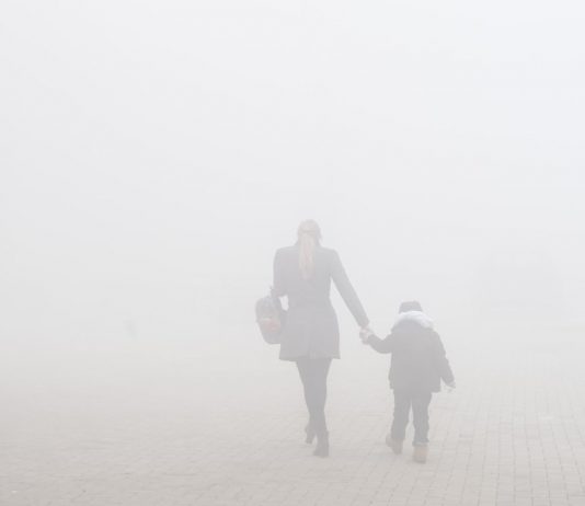 European environment Agency, Almost a half a Million people die of air pollution