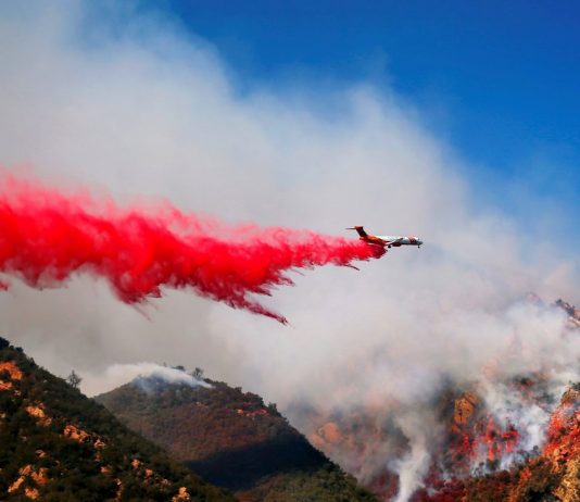 Forest fires: Self-blame, those who build villas in the forest?