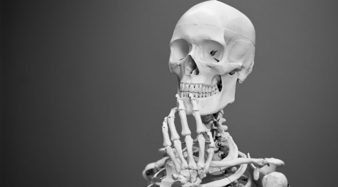 Bones: What holds us together in the Hidden