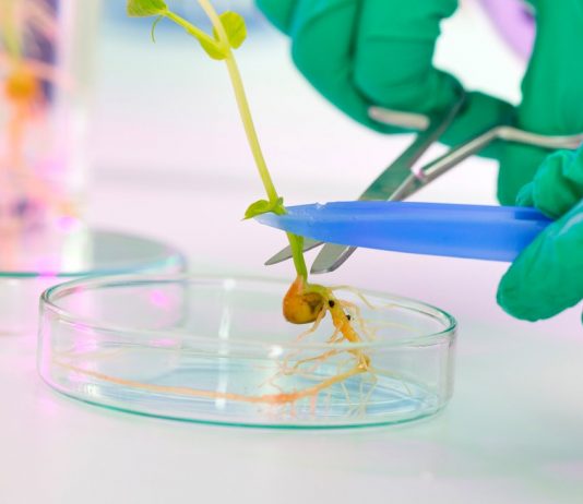 Crispr: These Experiments have to do with designer babies is nothing to