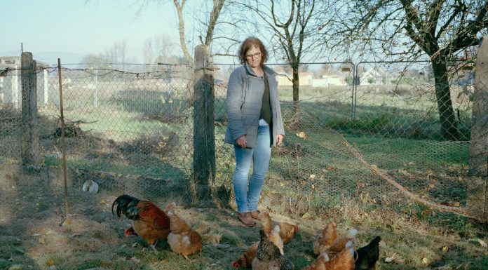 Lignite: the last of The spinach from Immerath