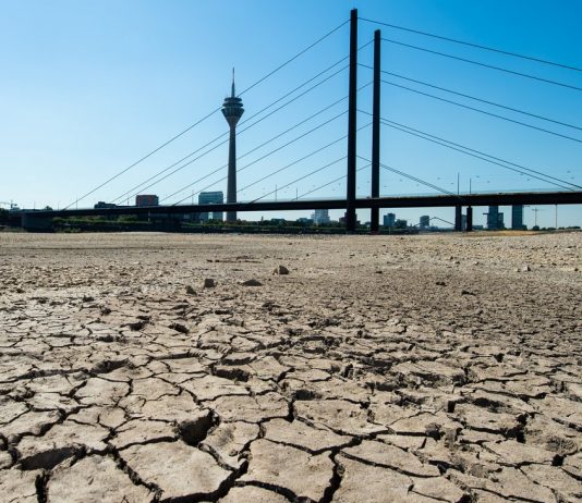 The climate summit in Katowice: 10 facts on climate change, the voices are really