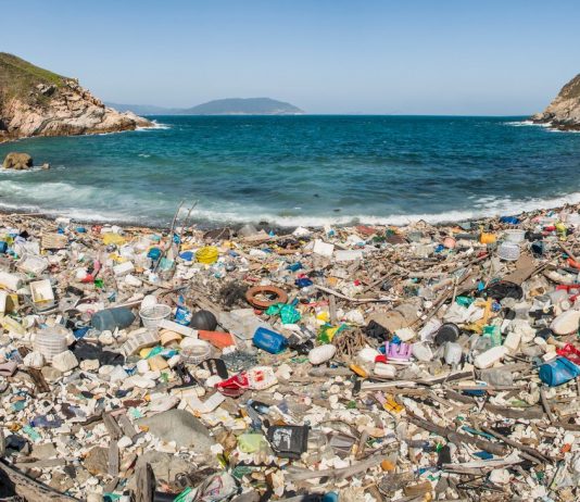 Environmental pollution: How’s the water?