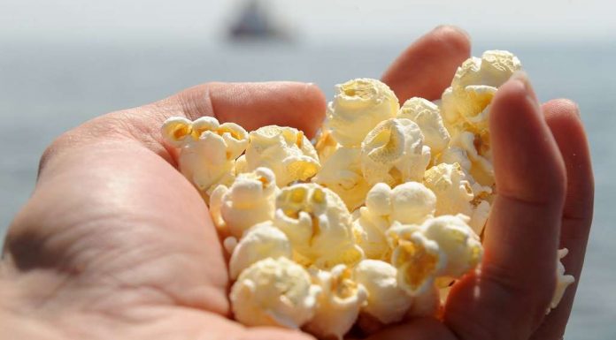 Fabulous: Popcorn-beach in Fuerteventura appeal to everyone