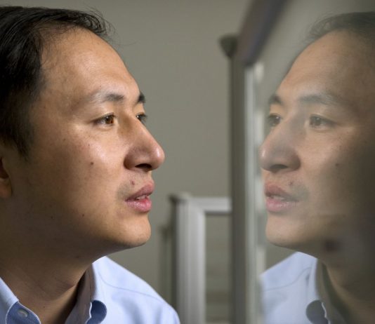He Jiankui: China wants to punish the doctor after genetic modification of babies