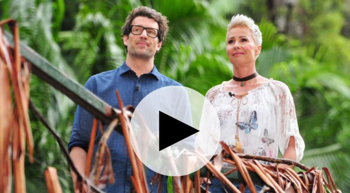 Jungle camp in 2019 in the Live Stream and live on TV: So you keep track of the TV-show
