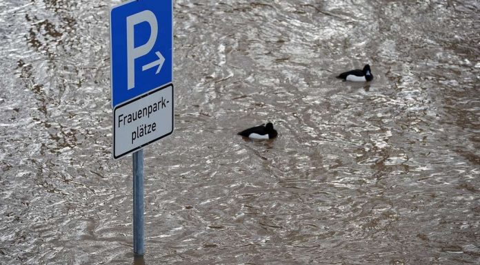 May men Park their car on special Parking spaces for Women?