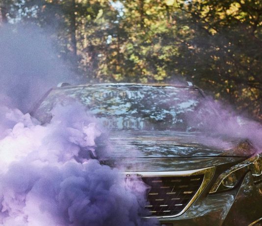 Nitrogen oxides and particulate matter: What science knows about exhaust and what not