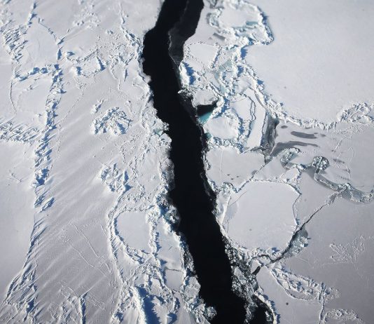 Quiz on climate change: Know more about the climate than the most?