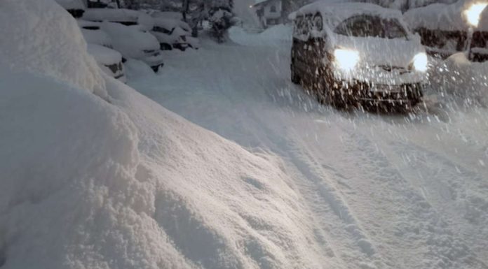 Should workers stay in the snow chaos at home?