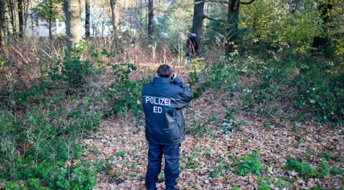 The skeleton of 16-Year-old forest found – that the police are hoping in their investigations