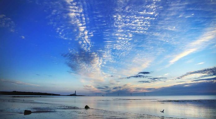 “To me, to be honest, a little too big”: So vacationers oceans rate at Google