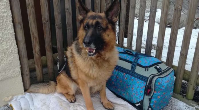 With the ceiling and the letter: “Rox” in the cold and darkness of the shelter exposed to