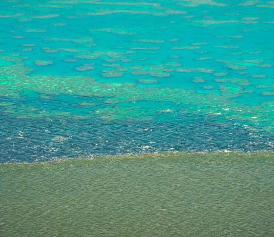 Coral reef: Dirty water threatens the Great Barrier Reef