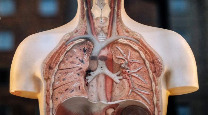 Debate limits: pulmonary specialist cleared several times