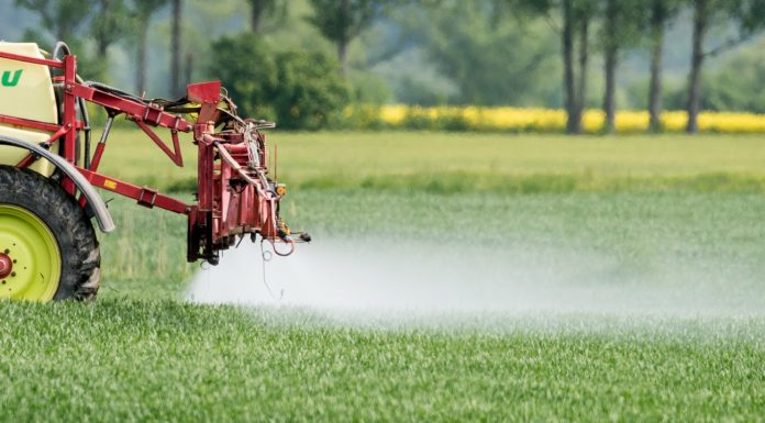 Glyphosate: 100 pesticides should remain with no test approved