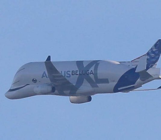 This plane looks like a cute Beluga whale, but there’s a catch