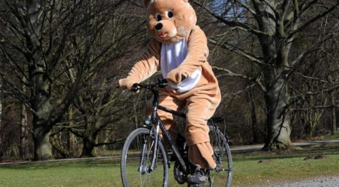 What you need to know motorists to the carnival