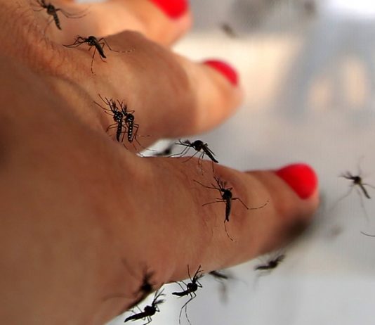 Climate change: UN Report warns of five environment hazards