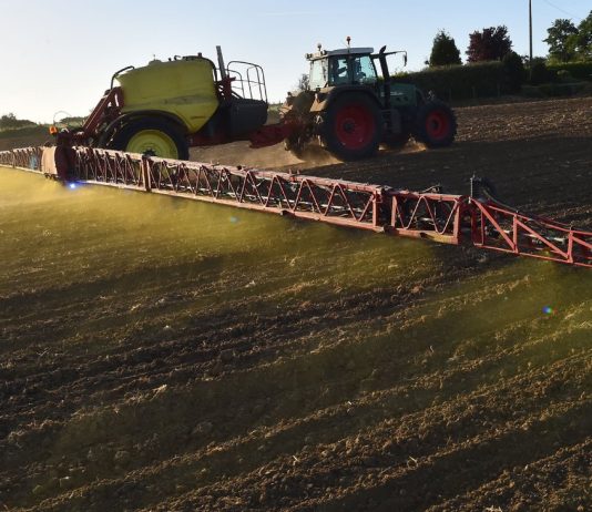 Glyphosate: In case of doubt, against the harmless