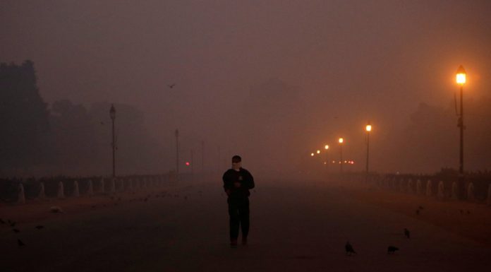 UN report: cause damage to the environment a quarter of the cases of death and disease