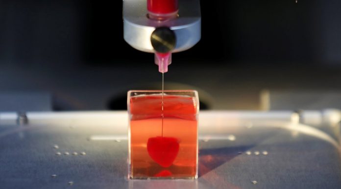 3D printer: Israeli researchers print heart made of human tissue
