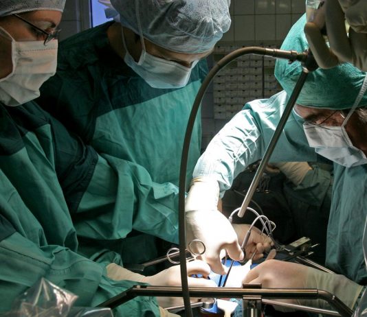 Draft law on organ donation: physicians President supports contradiction solution for organ donation