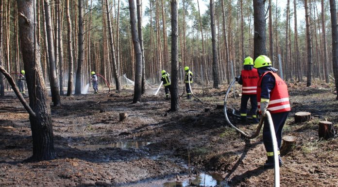 Drought: Multiple regions from the call due to forest fire danger is the highest warning level