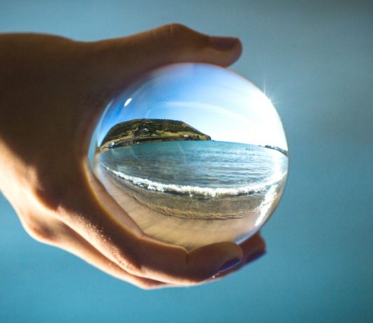 Environmental Protection: The Act Of Saving The World