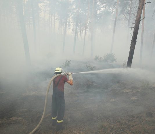 Forest fires: “Germany is not yet in flames”