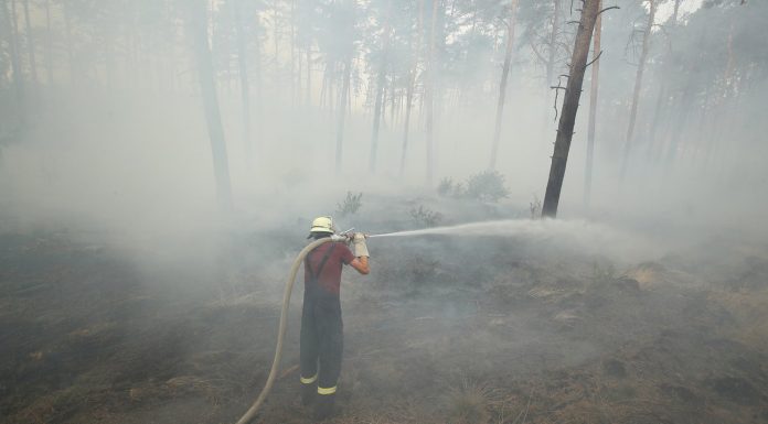 Forest fires: “Germany is not yet in flames”