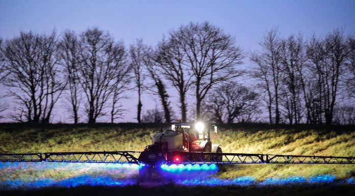 Herbicides: Bayer published glyphosate studies