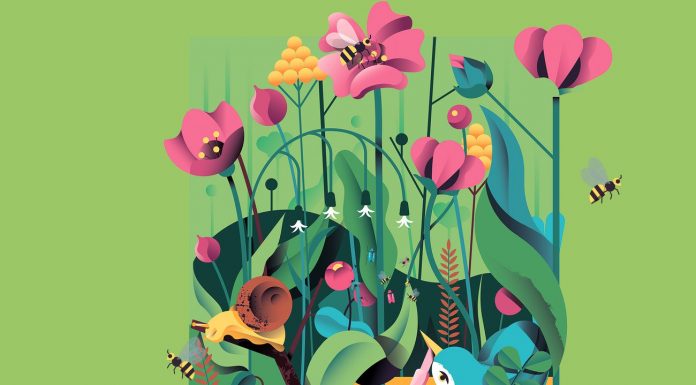 Protection of species: The major field test