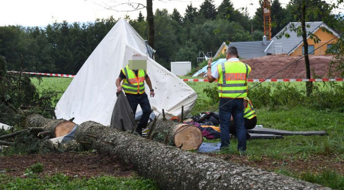 Tragic accident killed at Work with the husband: woman of tree