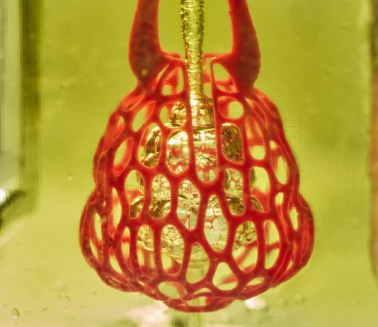 Artificial organs: U.S. researchers create blood vessels and Airways with 3-D printer