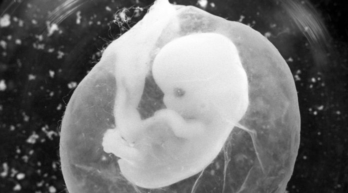 Crispr: the ethics Council germline intervention is no longer categorically rules out