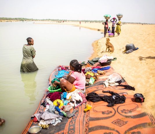 Guinea worm: the mystery of The Shari river