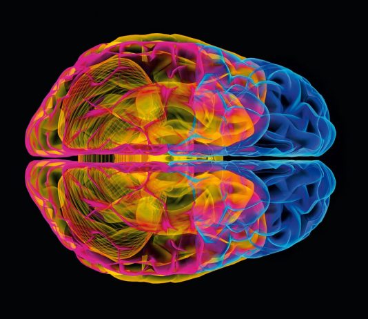 Opioids: Because all of the bells ringing in your head