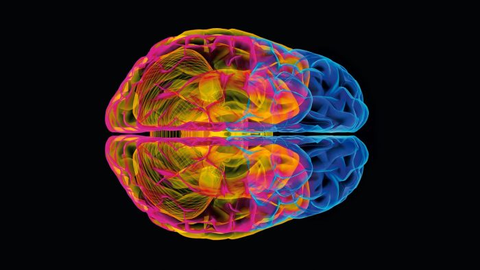 Bell Ringing In Brain Opioids: Because all of the bells ringing in your head - Law & Crime News